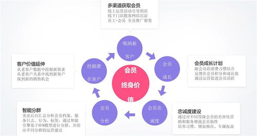 无棣多人拼团软件评测 山东良行美业小程序与信息咨询服务的深度解析
