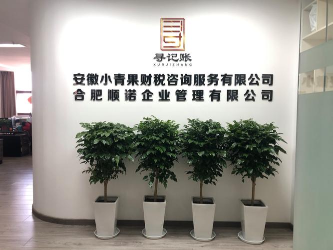 跨界融合 一位财务安全守护者的数字化风控之路
